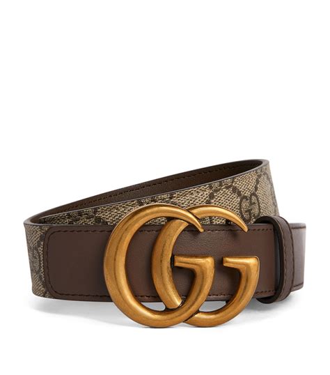 gucci tan belt ladies.